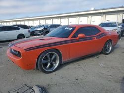 Salvage cars for sale at auction: 2010 Dodge Challenger R/T