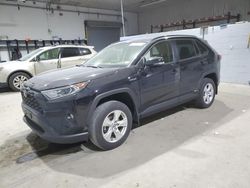 Toyota salvage cars for sale: 2021 Toyota Rav4 XLE