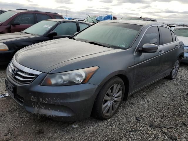 2011 Honda Accord EXL