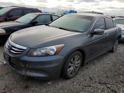 Honda Vehiculos salvage en venta: 2011 Honda Accord EXL