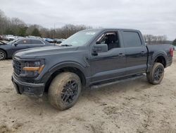 2024 Ford F150 STX en venta en Conway, AR