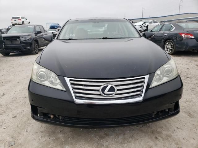 2010 Lexus ES 350