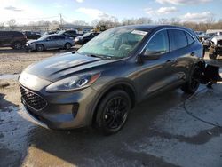 Salvage cars for sale at Louisville, KY auction: 2020 Ford Escape SE