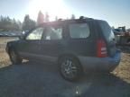 2005 Subaru Forester 2.5XS LL Bean