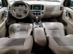 2005 Ford Escape XLT