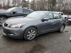 2009 Honda Accord EXL