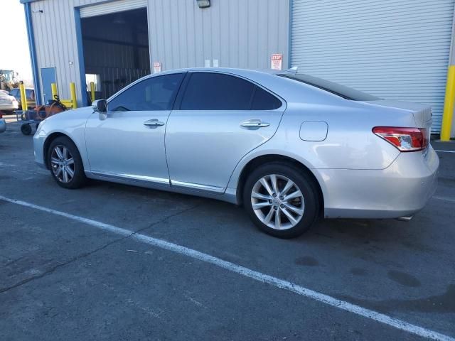 2010 Lexus ES 350