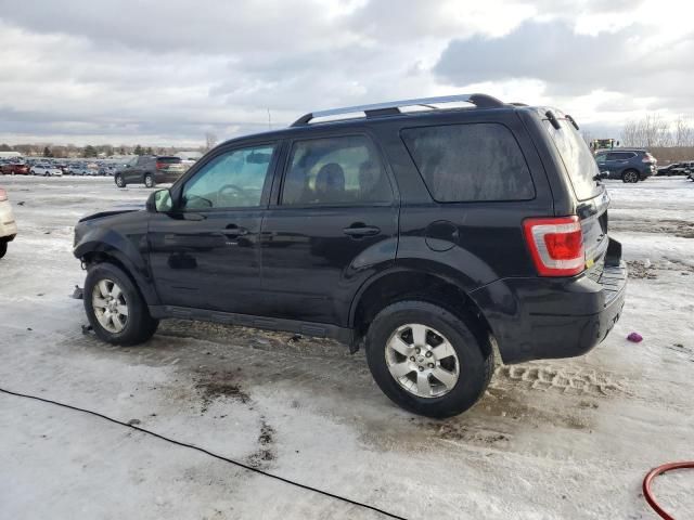 2011 Ford Escape Limited