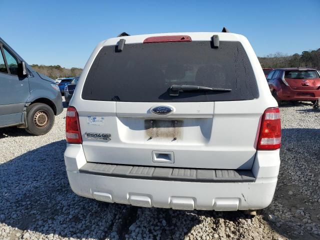 2010 Ford Escape XLT