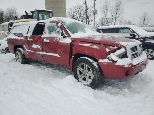 2007 Dodge Dakota Quattro