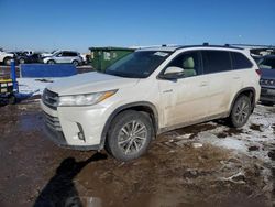 Salvage cars for sale at Brighton, CO auction: 2019 Toyota Highlander Hybrid