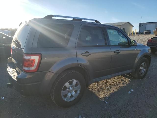 2010 Ford Escape Limited