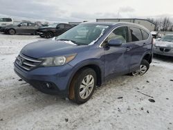 Salvage cars for sale at Wayland, MI auction: 2013 Honda CR-V EXL