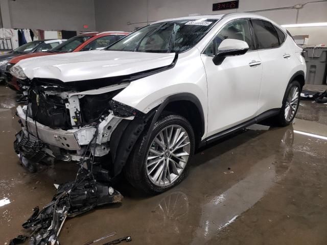 2025 Lexus NX 350H Base