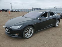 Salvage cars for sale at Greenwood, NE auction: 2013 Tesla Model S