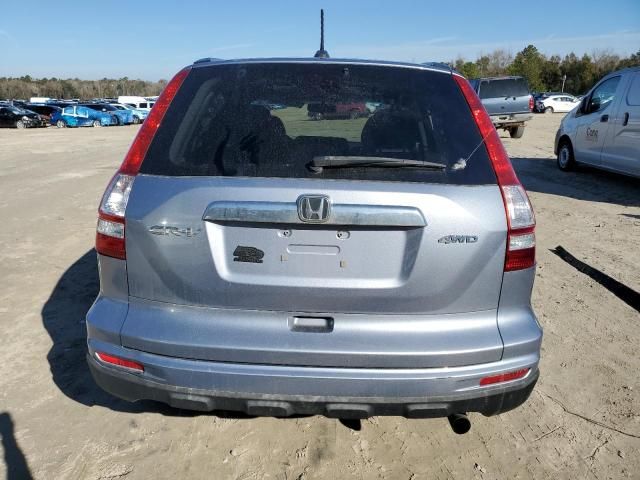 2010 Honda CR-V EXL