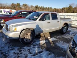 Dodge Dakota salvage cars for sale: 2005 Dodge Dakota Quad SLT