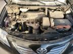 2007 Toyota Camry Hybrid