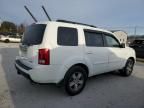 2010 Honda Pilot EXL