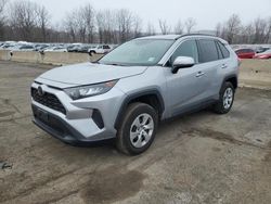 Salvage cars for sale at Marlboro, NY auction: 2021 Toyota Rav4 LE