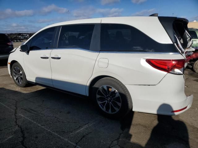 2022 Honda Odyssey EXL