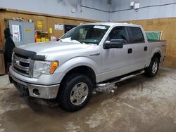 Vehiculos salvage en venta de Copart Kincheloe, MI: 2014 Ford F150 Supercrew