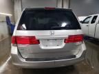 2008 Honda Odyssey EXL