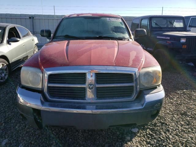 2005 Dodge Dakota SLT