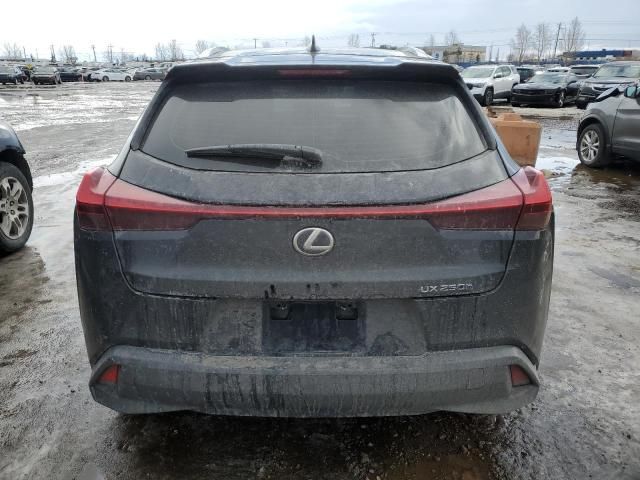 2019 Lexus UX 250H