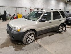 Ford salvage cars for sale: 2005 Ford Escape XLT