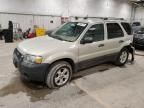 2005 Ford Escape XLT