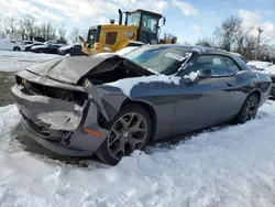 Dodge Challenger sxt salvage cars for sale: 2015 Dodge Challenger SXT