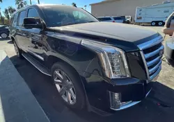 Cadillac salvage cars for sale: 2017 Cadillac Escalade ESV Premium Luxury