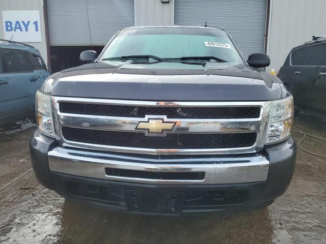 2010 Chevrolet Silverado K1500 LS