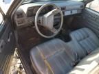 1988 Toyota Pickup 1/2 TON RN50