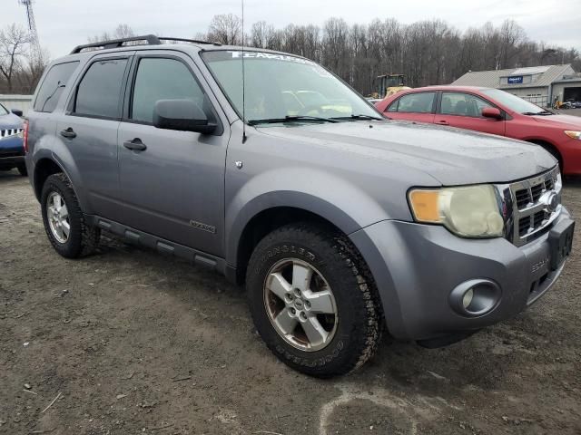 2008 Ford Escape XLT