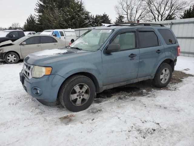 2011 Ford Escape XLT