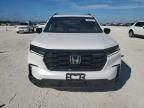 2025 Honda Pilot Black