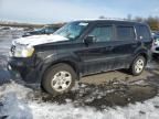 2013 Honda Pilot LX