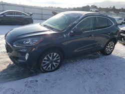 Ford salvage cars for sale: 2022 Ford Escape Titanium