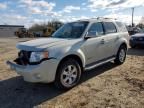 2008 Ford Escape Limited