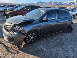 Salvage cars for sale at auction: 2011 Toyota Corolla Base