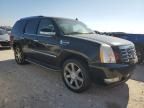 2010 Cadillac Escalade