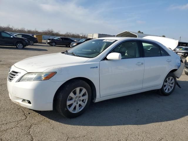 2009 Toyota Camry Hybrid