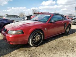 Salvage cars for sale from Copart Los Angeles, CA: 2004 Ford Mustang