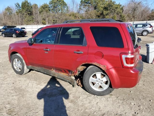 2011 Ford Escape XLT