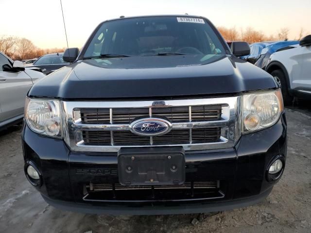 2012 Ford Escape XLT