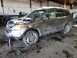 Honda crv Vehiculos salvage en venta: 2010 Honda CR-V EX