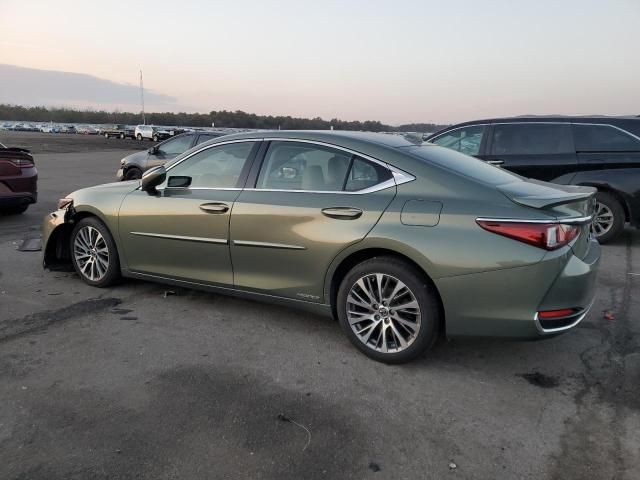 2019 Lexus ES 300H