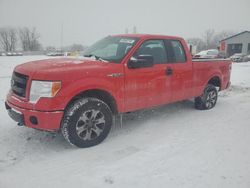 Salvage cars for sale at Barberton, OH auction: 2013 Ford F150 Super Cab